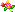 潮汐Light Petal 预览