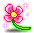 Lil Pink Flower