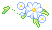 潮汐Mid-Summer Marguerite 预览