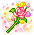 潮汐Flor Fiesta
