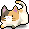 潮汐Calico Head Cat