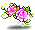 潮汐Romance Rose