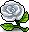 Ifia's Rose