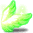 潮汐Leafy Dream Wings
