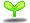 Tea Leaf