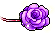 维纳斯女神(罗兰紫) 预览