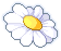 潮汐Petal Playtime Daisy Hat 预览