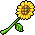 潮汐Sunflower Stalk