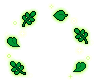 Leafy Greens 预览