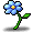 Blue Snail Flower
