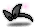 潮汐Black Vanilla Ribbon