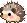 Prickly Cher 预览
