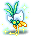 潮汐Starry Night Orchid