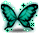 潮汐Butterfly Wingspan