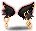 潮汐Entrancing Foxfire