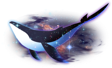 潮汐Alluring Whale Mount 预览