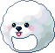 潮汐Poofy Bichon Hat 预览