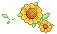 潮汐Mid-Summer Sunflower 预览