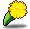 潮汐Spring Dandelion