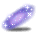 潮汐Starglimmer Cape