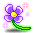 Lil Purple Flower