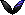 潮汐Snake Shamaness's Ribbon 预览