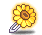 潮汐Petal Playtime Sunflower Hat