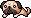 潮汐Pug Hat 预览