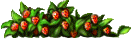 草药丛