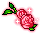 潮汐Spring Rose 预览