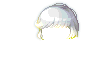 黑色星光大波浪
