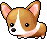 Corgi Pup 预览