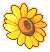 潮汐Petal Playtime Sunflower Hat 预览