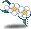 潮汐White Plum Blossoms