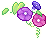 潮汐Mid-Summer Morning Glory 预览