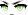 White-Eyed Akatsuki Warrior Face