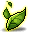 Matcha Man's Leaf