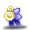潮汐Cotton Bell
