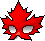 潮汐Maple Leaf eye mask 预览